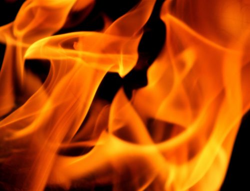 Vivificar nuestra zarza ardiente interior