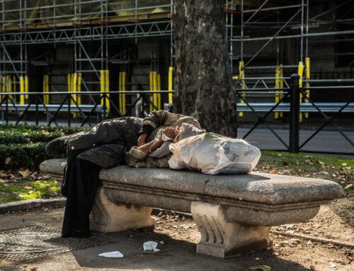Morir en la plaza
